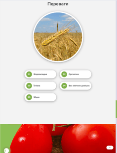 Our Completed Project 6