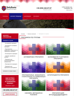 Our Completed Project 1