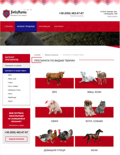 Our Completed Project 4