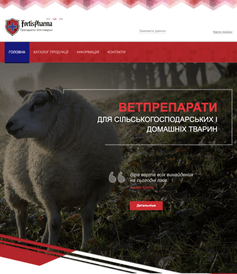 Our Completed Project 4